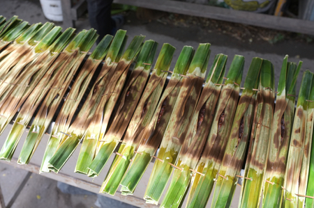 Kanom Jark, Thai sweetmeat made of flour, coconut and sugar with nipa plam leavesの写真素材