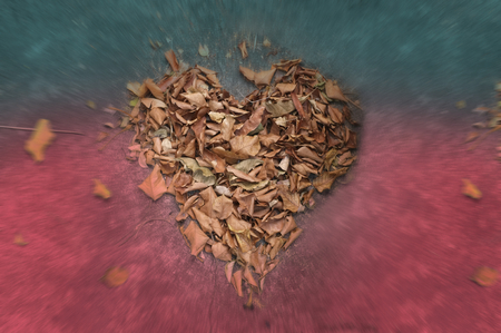 Leaf Heart shape isolated Love Valentine background .