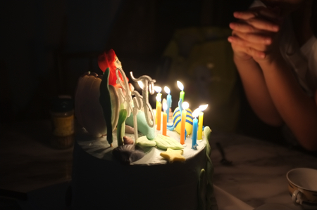 Young girl blowing out candles on birthday cake . Concept happy birth day