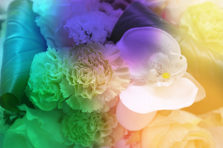 Abstract background of colorful flower . Nature backgroundの写真素材
