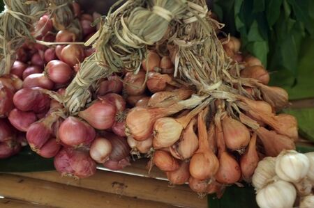 Shallots makes healthy good for lifeの写真素材