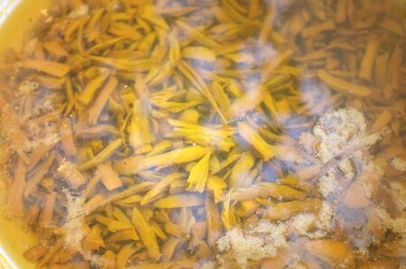 Raw Material of Natural yellow color Textile dyes, bark of of Garcinia dulcis