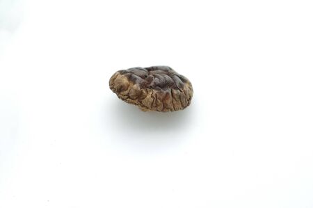 Dry Shiitake mushroom on the White backgroundの写真素材