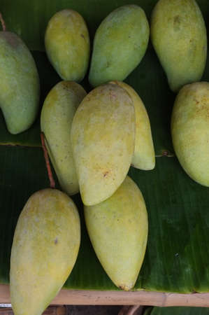 Fresh mango in  Thai market .の写真素材