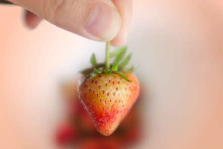 Hand holding strawberry on pink backgroundの写真素材