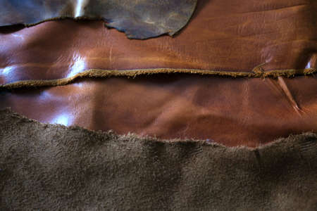 Patterned Leather and old leather texture background. space for text