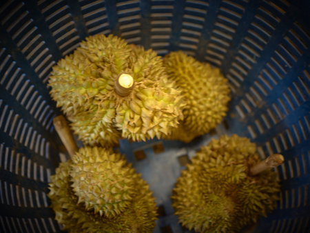 Group of durians in the durian market. thailandの写真素材