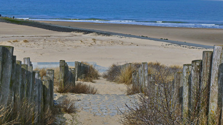 Sea dunes, Nothsea, Sand Beach Holland Flandernの写真素材