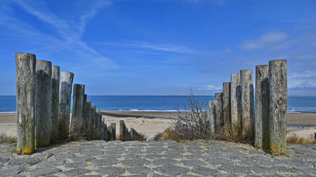 Sea dunes, Nothsea, Sand Beach Holland Flandernの写真素材