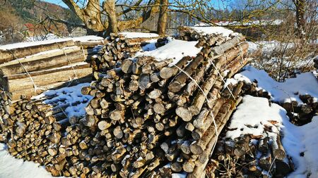 Firewood stacked in winter. Winter landscape with blue skyの写真素材