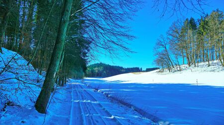 Winter landscape in the sunshine at the forest edgeの写真素材
