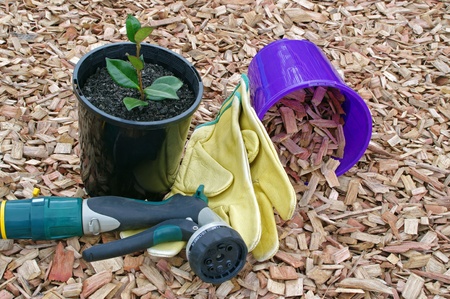 Mulch potted plant and garden accessoriesの写真素材