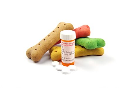 dog pill medication on a white background