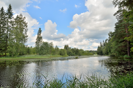 Clouds and trees reflected in the water of the river Oredezh among the leaves of water lilies in Julyの写真素材