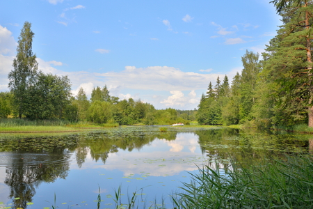 Landscape from forest river with a boat and reeds and water lilies in Julyの写真素材