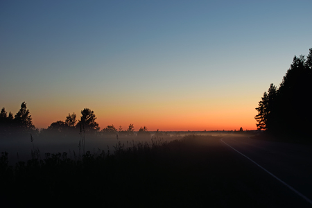 Road in a forest at sunset in the summer in the fog in Summerの写真素材