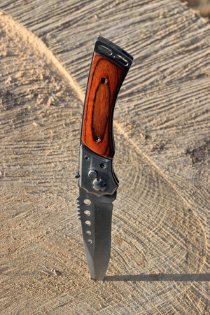 Folding knife stabbed into sawn wood in the sunlightの写真素材