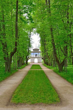 The Park and Avenue in the estate, the house-Museum of Peter Abramovich and Benjamin Petrovich Hannibal of the State Museum-reserve of A. S. Pushkin - Petrovskoeの写真素材