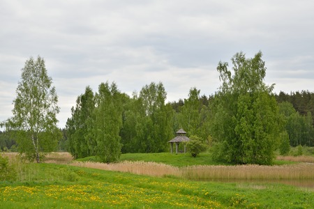 Russian landscape: trees and grass on a cloudy day on the territory of the state Museum-reserve of A. S. Pushkin - Petrovskoe the city Pushkinskiye Goryの写真素材