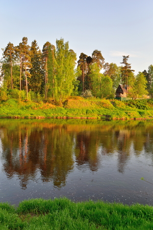 The Bank of the river Oredezh with trees Sunny day in  summerの写真素材