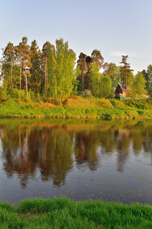 The Bank of the river Oredezh with trees Sunny day in  summerの写真素材