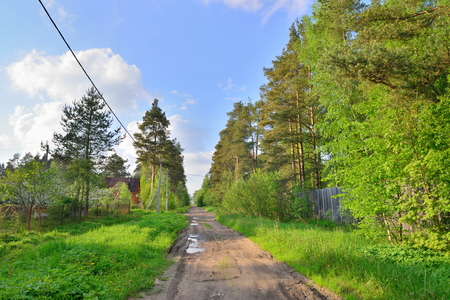 Landscape with country road Sunny day in  summerの写真素材