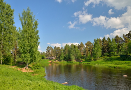 Summer landscape on the banks of the river Oredezh at Vyritsa in the summerの写真素材