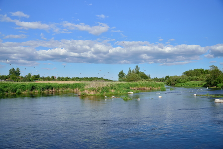 Seagulls sitting on the rocks in the middle of the river Sunny day .の写真素材