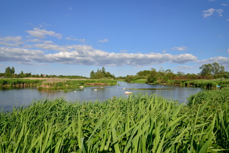 A river among fields of Sunny day .の写真素材