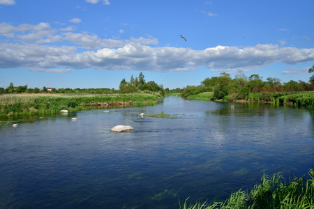 A river among fields of Sunny day .の写真素材