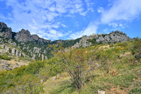Wild rose bushes in the background of the rocky mountains in the valley of ghosts. Crimeaの写真素材