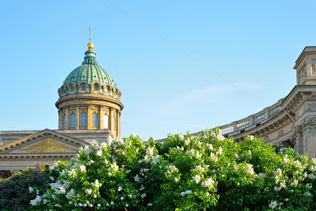 The dome of the Kazan Cathedral on the background of blooming lilacsの写真素材