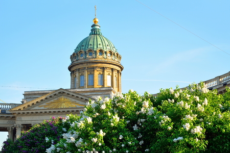 The dome of the Kazan Cathedral on the background of blooming white lilacの写真素材