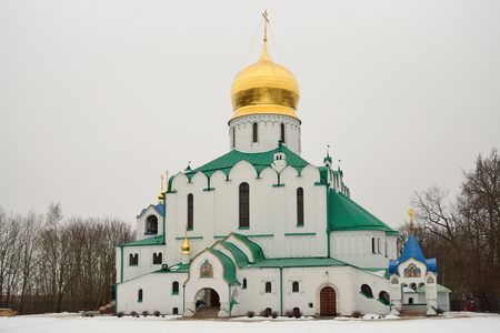 Feodorovsky Orthodox Cathedral in the Alexander Park of Pushkin in winterの写真素材