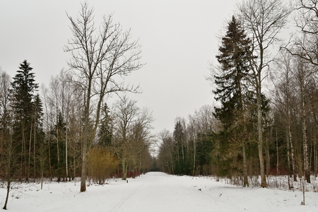 Walkway to the pavilion of the Arsenal in the town of Pushkin in winterの写真素材