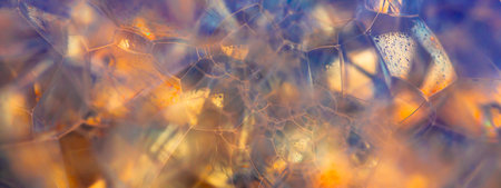 Lather. Abstract Background from Bubbles and Soap Foam. Beautiful Macro Structure.