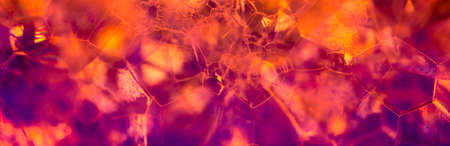 Lather. Abstract Background from Bubbles and Soap Foam. Beautiful Macro Structure.