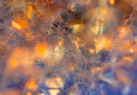 Lather. Abstract Background from Bubbles and Soap Foam. Beautiful Macro Structure.の写真素材