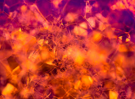 Lather. Abstract Background from Bubbles and Soap Foam. Beautiful Macro Structure.