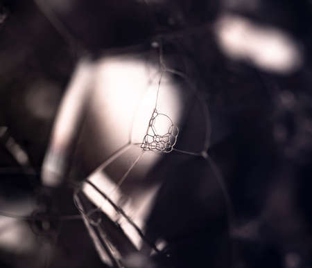 Lather. Monochrome Abstract Background from Bubbles and Soap Foam. Beautiful Macro Structure.の写真素材