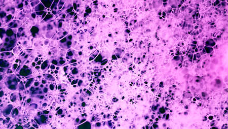 Lather. Abstract Background from Bubbles and Soap Foam. Beautiful Macro Structure.の写真素材