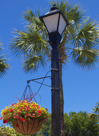 Gas Lamp with Hanging Flower Potの写真素材
