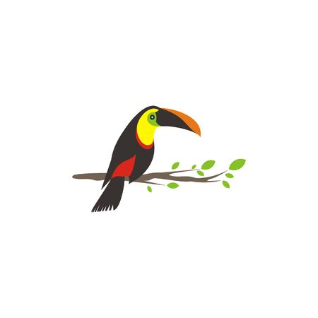 Vector bird of toucan is on a wooden branch to prepare to flyのイラスト素材