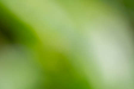 Green color blur photo wallpaper. Camera lens effect blur wallpaperの写真素材