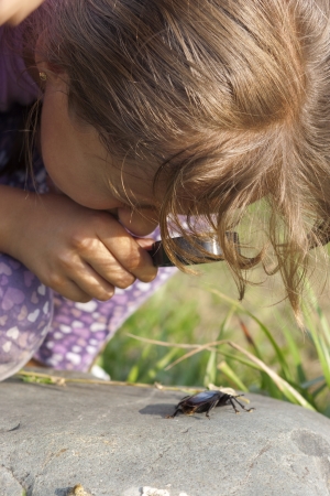 Curious Little Girl Looking At Beetle Through Magnifying Glass Outdoorの写真素材