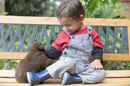 Portrait of Adorable Baby And His Dog At Homeの写真素材