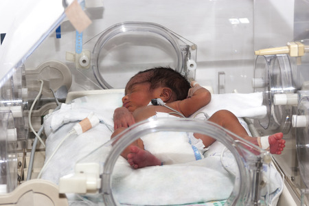 Portrait of newborn baby sleeping inside incubatorの写真素材