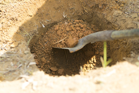 Portrait of digging the land for plantingの写真素材