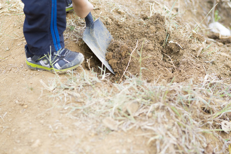 Portrait of Lovely Boy Enjoying Outdoors, Boy Plantingの写真素材