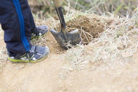 Portrait of Lovely Boy Enjoying Outdoors, Boy Planting